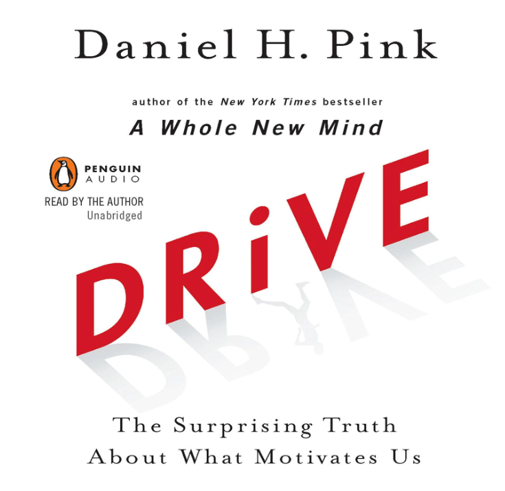Drive: The surprising truth about what motivates us